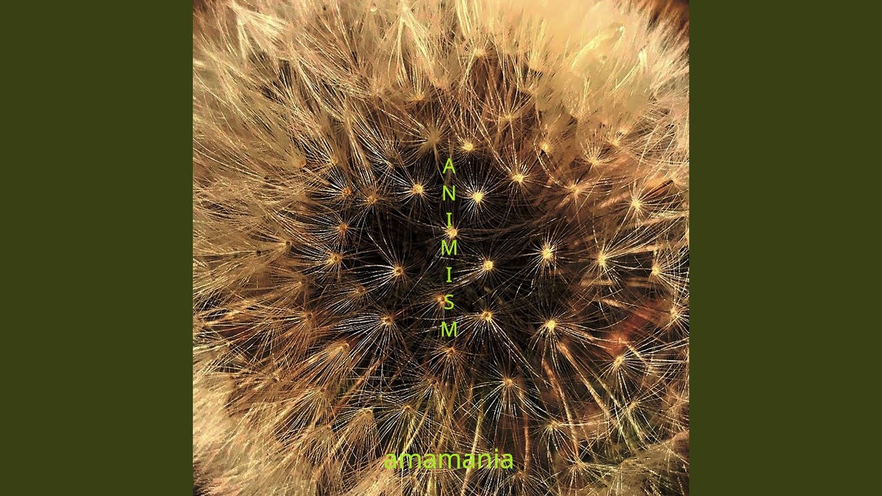 Watch Animism on YouTube Watch Animism on YouTube