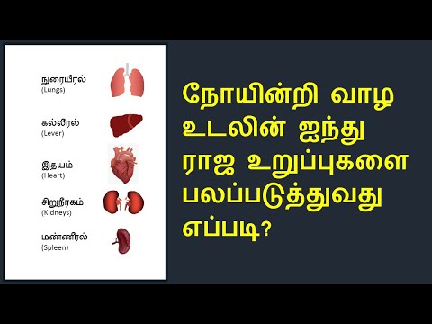 என்றும் ஆரோக்கியத்துடன் இருக்க | Remedies to strengthen the internal organs in Tamil