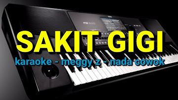 DANGDUT KARAOKE //sakit gigi// NADA cowok //meggy z// by jampangpbg //psr670