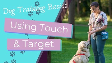 Dog Training Basics: Use Touch and Target Training to Build a Strong Foundation!