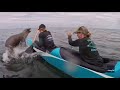Sea lion surprises Santa Cruz canoe team