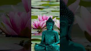 Buddha s Lullaby Relaxing | Water Sounds and Relaxing Music#relaxing