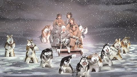 【シネマガイド】シネマ歌舞伎『三谷かぶき 月光露針路日本 風雲児たち』予告｜2020年10月2日全国公開