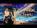 中森明菜『Good-bye My Tears』「とまどい:カップリング曲」(スタジオ録音編)