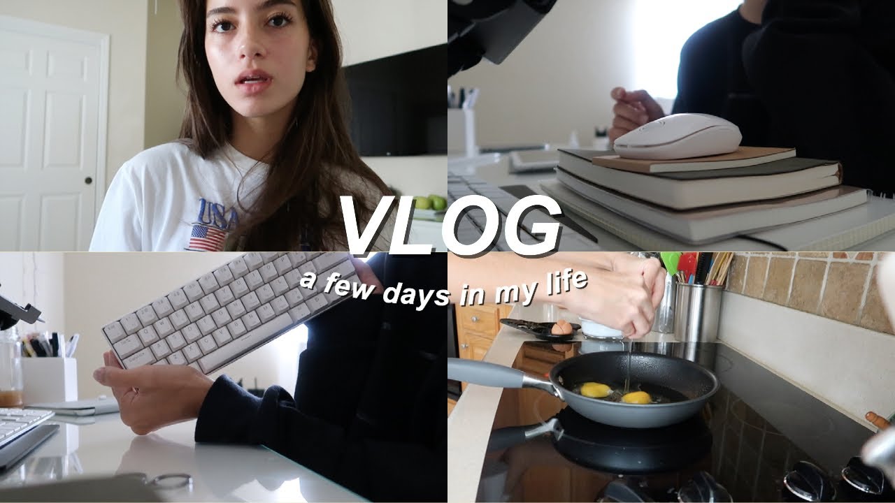 VLOG: a couple days in my life | vlogging again, first video premiere ...