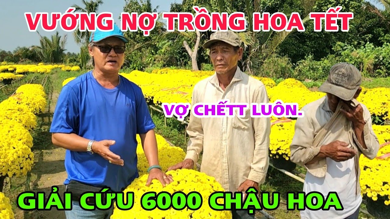 Cũng Vì Chăm Sóc Hoa Bán TẾT Cô Ra Đi Để Lại Mình Chú Mang Nợ 