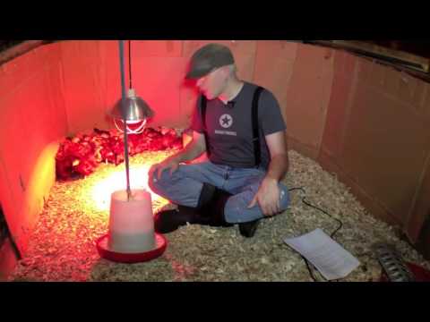 Raising Chickens Making a Brooder and Raising Baby Chicks - YouTube
