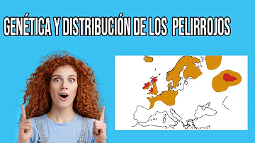 ¿Todos los pelirrojos son en parte irlandeses?