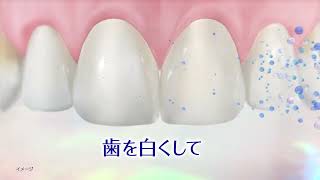 シュミテクト フューチャーホワイトケア TVCM 15秒 (改訂）