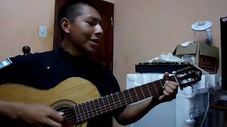 Vignette de la vidéo "Elias Argüello-mi amor Cover guitarra"