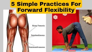 Five Practices For Forward Flexibilityhamstring Muscles Trainingleg Muscles Practices-Yoga Saathi