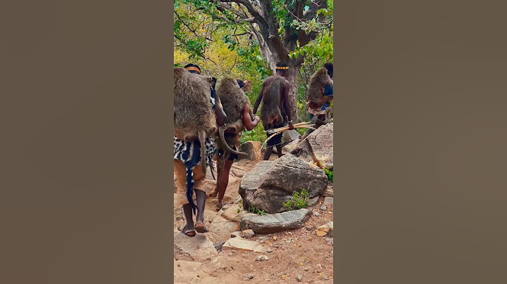 The Truth of Unbelievable tribe Hunts And Eat  Baboons / Hadzabe Tribe #africa #wildlife #primitive
