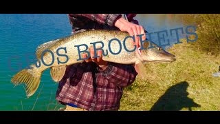 Pêche du brochet 2015|Gopro HD