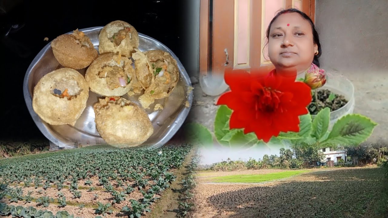 গ্রামে  থাকার অনেক সুবিধা আছে 🤩  তাই না তোমরা কি বলো? শীতের সন্ধ্যায় কর্তা মশাই নিয়ে এল ফুচকা 😍