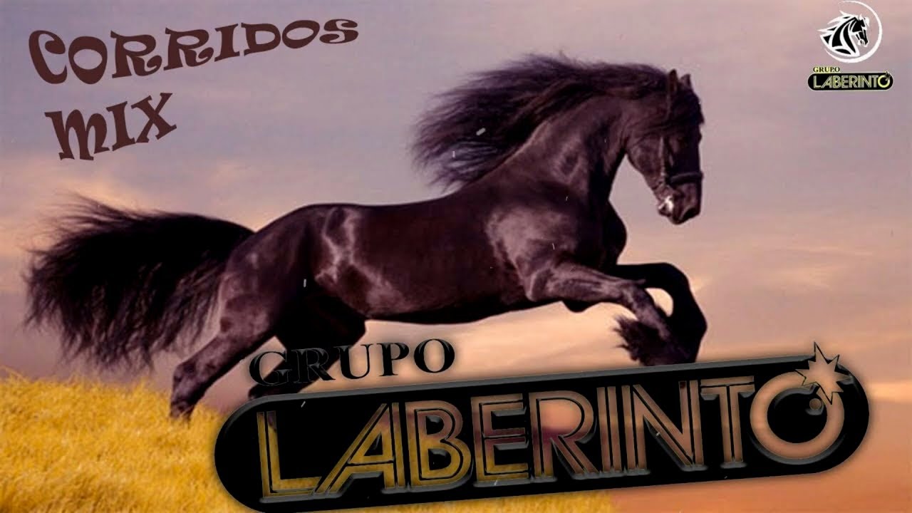 CORRIDOS PESADOS DE LABERINTO 🐎 PUROS CORRIDOS DE CABALLOS DE GRUPO LABERINTO 🔥
