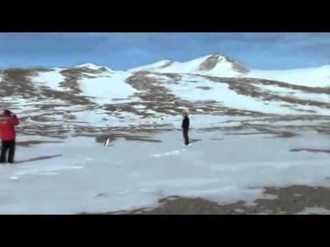 Existential Crisis of A Penguin - Werner Herzog