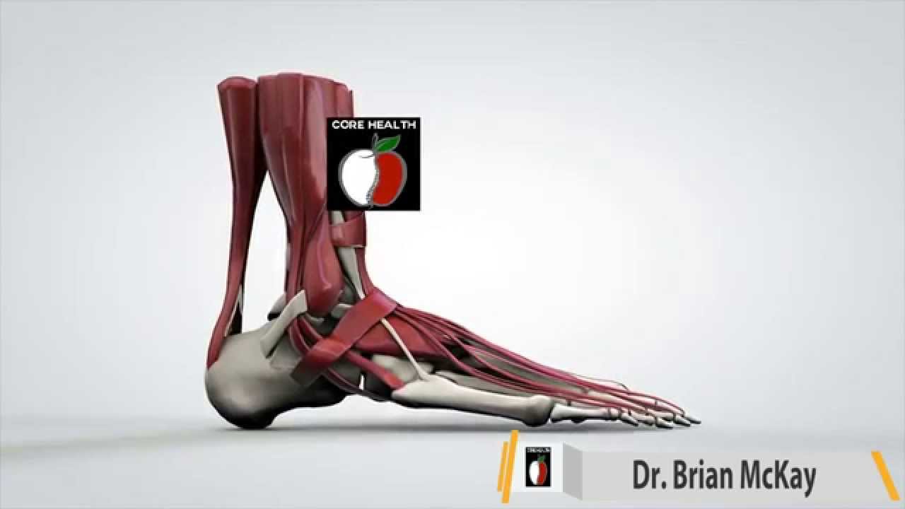 migraine headaches medicine Plantar Fasciitis Rehab Exercises Stamford 203 656 3636 Darien Chiropractor Norwalk New Canaan