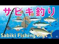【サビキ釣りSabiki】ファミリーフィッシング初心者釣り入門仕掛けとおすすめアイテムSabiki Fishing Rigs