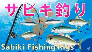 【サビキ釣りSabiki】ファミリーフィッシング初心者釣り入門仕掛けとおすすめアイテムSabiki Fishing Rigs