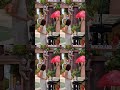 홍콩여행 IFC몰 마림바공연 귀호강 #홍콩여행 #가족여행 #IFC몰 #마림바공연 #초등학생딸 #해외여행브이로그 #가족추억 #음악공연#HongKongTrip #IFCMall