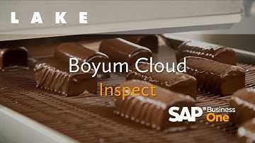 Boyum Cloud Apps Inspect