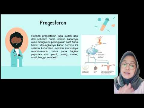 Video: Adakah progesteron membantu ketidakcekapan serviks?