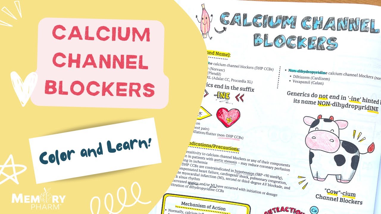 Calcium Channel Blockers Made Easy Mnemonics Mechanism Of Action Calcium Channel Blockers Made Easy Mnemonics Mechanism Of Action