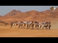 شيلة توي كبرت كلمات الشاعر المرحوم محمد ابوخليل الطقيقي الحويطي اداء نواف بن عيد تنفيذ زعيم الشيلات شيلة توي كبرت كلمات الشاعر المرحوم محمد ابوخليل الطقيقي الحويطي اداء نواف بن عيد تنفيذ زعيم الشيلات