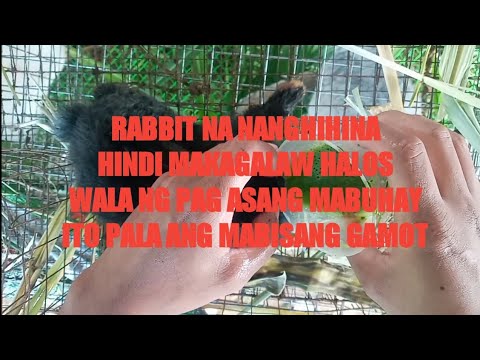 Video: Hindi Makakain Ang Alaga Ko