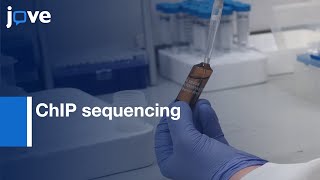 ChIP sequencing in Tumor Tissues for Mapping of Chromatin States| Protocol Preview