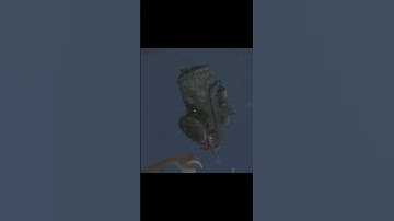 Submarine gaming | Rust #shorts