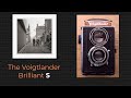 Voigtlander Brilliant S with Heliar 75mm f3.5 lens, TLR or not !!
