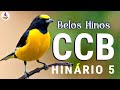 Belos Hinos CCB - Hinos Hinário 5 Cantados 🙏🏼 Culto Online CCB 802