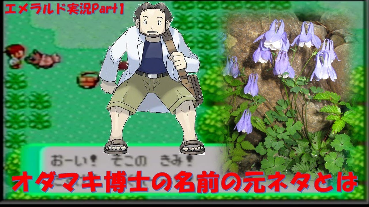 ポケモン 雑学しながらエメラルド 1匹目 Youtube ポケモン 雑学しながらエメラルド 1匹目 Youtube