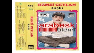 Remzi Ceylan / Seni Seven Ölmez Ki ( 1987 ) Resimi