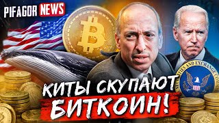 КИТЫ ЗАИНТЕРЕСОВАНЫ В BTC! БАЙДЕН ПОДДЕРЖИВАЕТ SEC! PIFAGOR NEWS