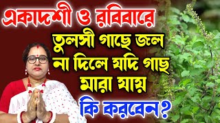 একাদশী ও রবিবারে তুলসী গাছ জল না দিলে যদি গাছ মারা যায় তাহলে কি করবেন? | বাংলা ধর্ম