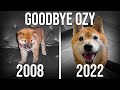 Goodbye Ozy (2008-2022)