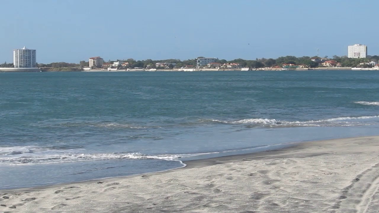 Panama on the beach in Nueva Vid 88 YouTube