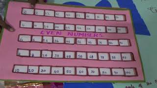 Famous Even , Odd and Prime Numbers Model || Maths Exhibition || Profile