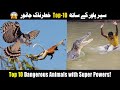 Top 10 Dangerous Animals with Super Powers! 😱 #wildfacts #animals #nature #jungle