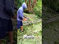 part 3 #chainsawstihl
