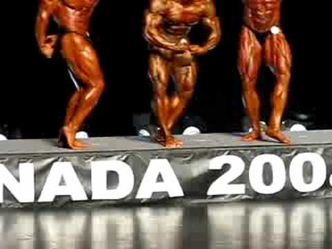 2008 Canadian Bodybuilding Championships