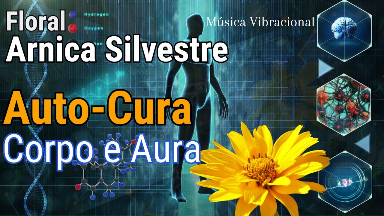 Autocura da Aura. Regeneração com o Poder do Floral Arnica