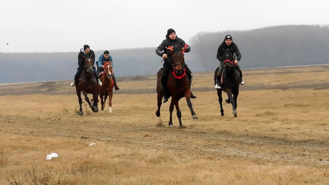 INTRECERE CAI LA FETESTI JUDETUL IALOMITA - PRIMA CURSA 9 IANUARIE 2022