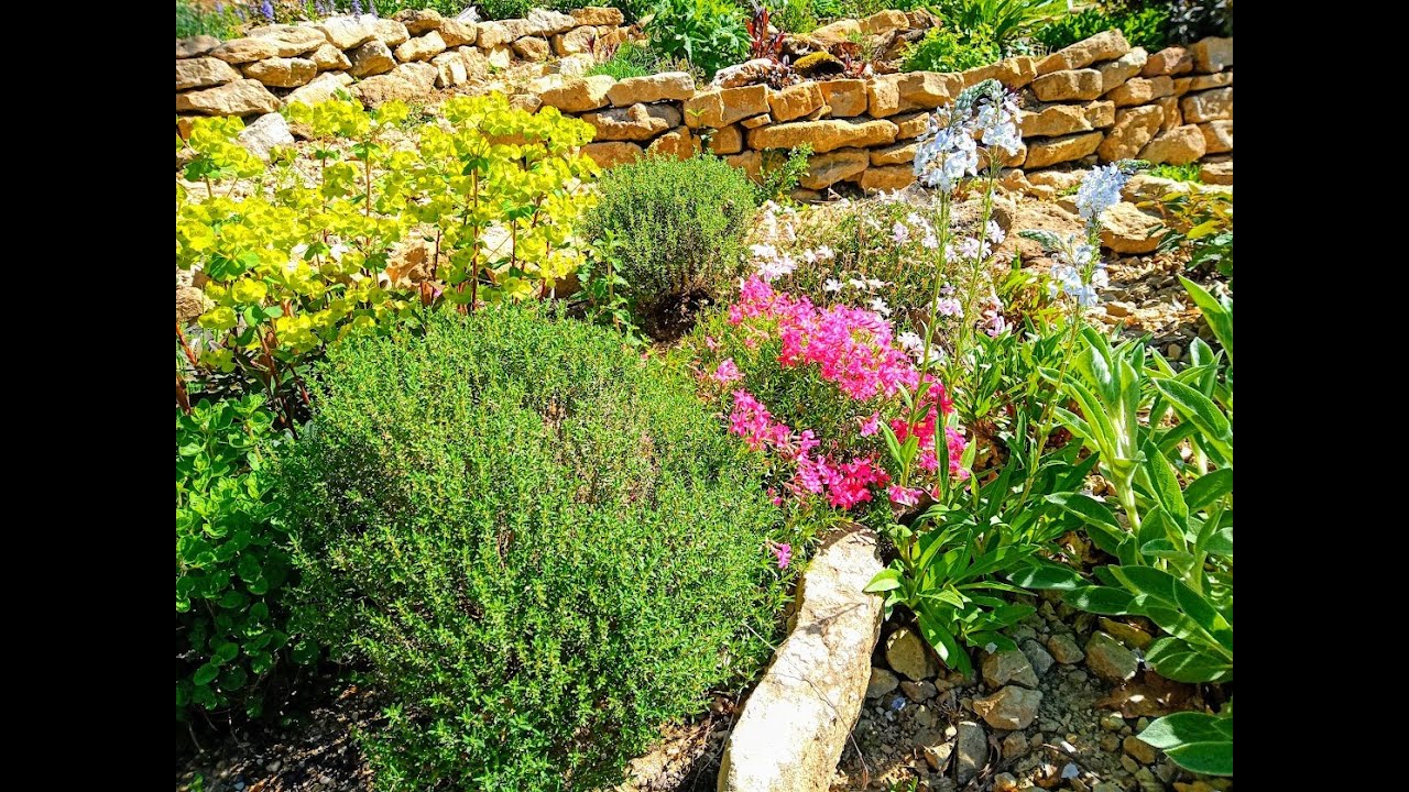 Gartenrundgang April 2024, Wildbienen und Update