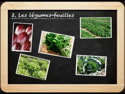 Vidéo: Différences Entre Les Fruits Et Les Légumes