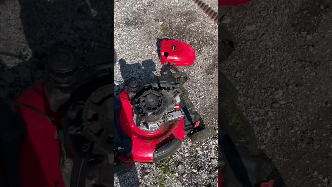 Giving Back to my Community 