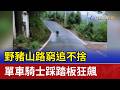 野豬山路窮追不捨 單車騎士踩踏板狂飆