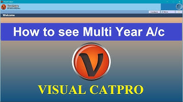 How to view multi year account statement in catpro